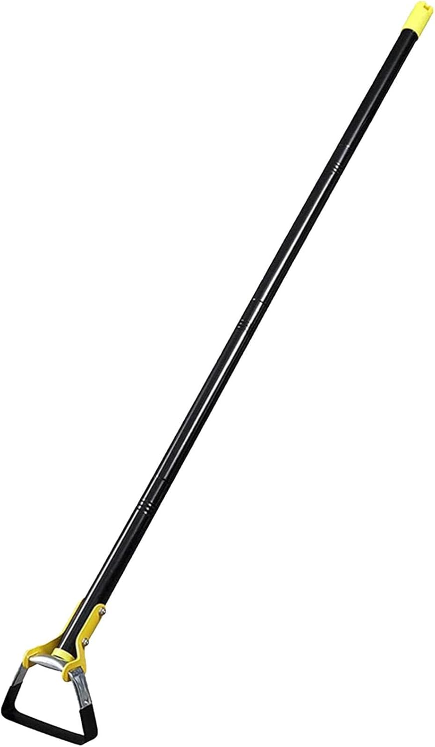 51aN62sZCxL._AC_SL1500_.jpg