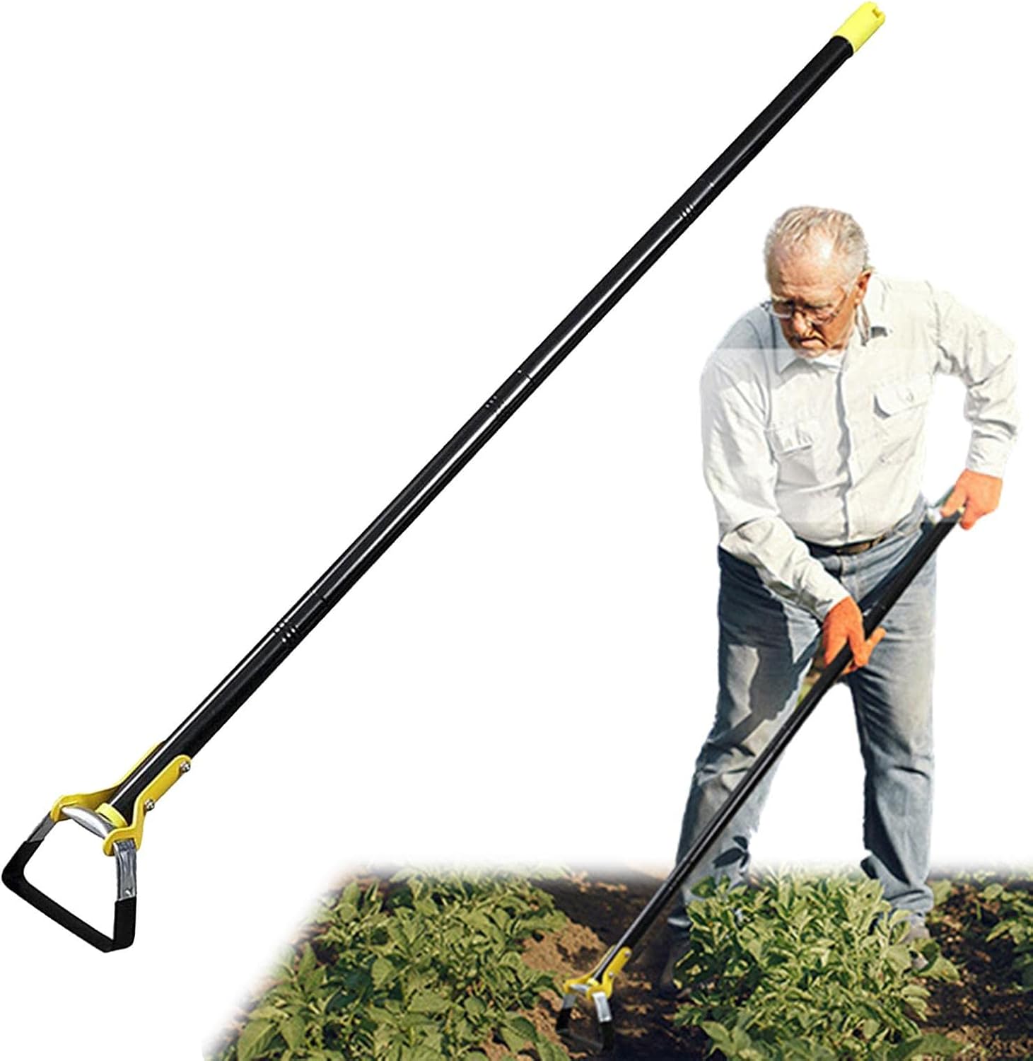 61BeePrKBbL._AC_SL1500_.jpg