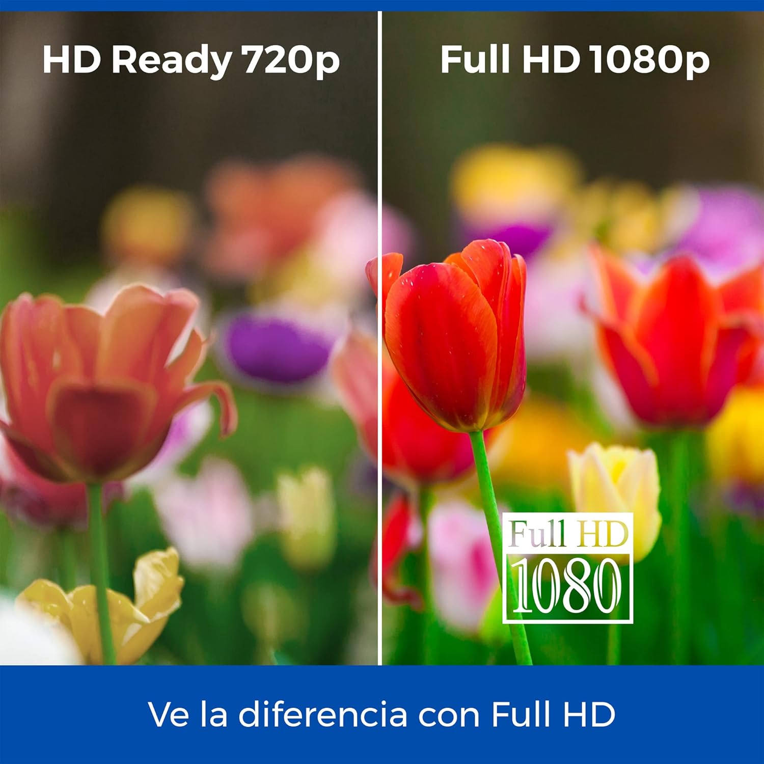 71C2iNaq1uL._AC_SL1500_.jpg
